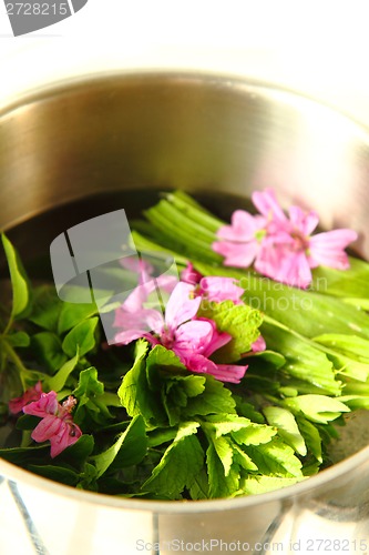 Image of natural tea plants 