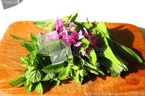 Image of natural tea plants 