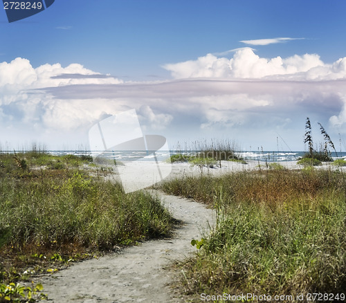 Image of Path To The Beach