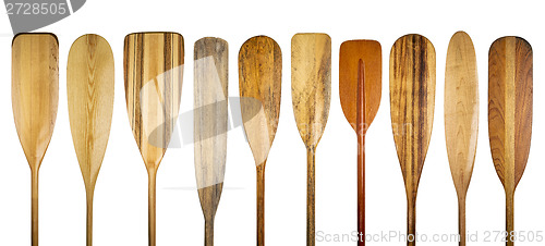 Image of wooden canoe paddles