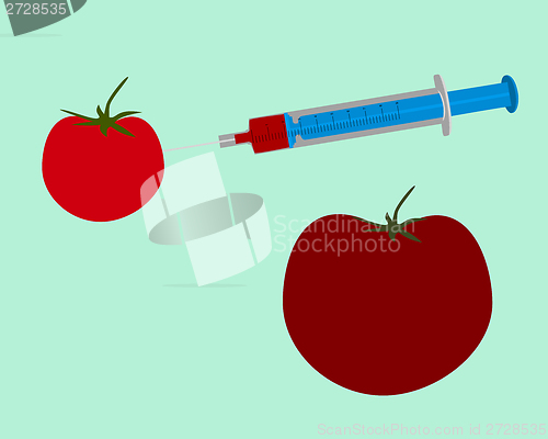 Image of Illustration of genetic engineering of a tomato on green background