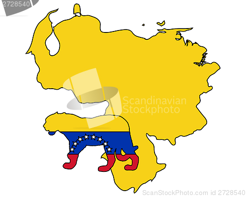 Image of Jaguar Venezuela