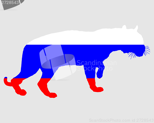Image of Russia tiger