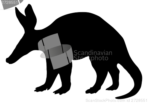 Image of Detailed and isolated illustration of the mammal aardvark