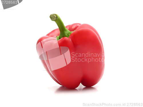 Image of Red pepper isolated on a white background