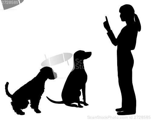 Image of Dog Training