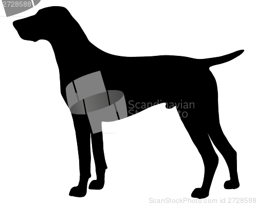 Image of The black silhouette of a German Shorthaired Pointer