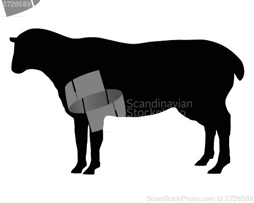 Image of The black silhouette of a sheep on white