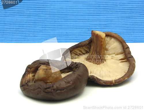 Image of Shiitake on white plate and blue background