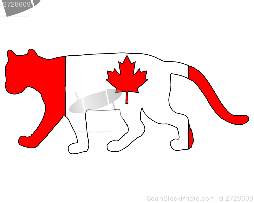 Image of Cougar Canada