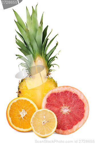 Image of Grapefruit, pineapple, orange and lemon