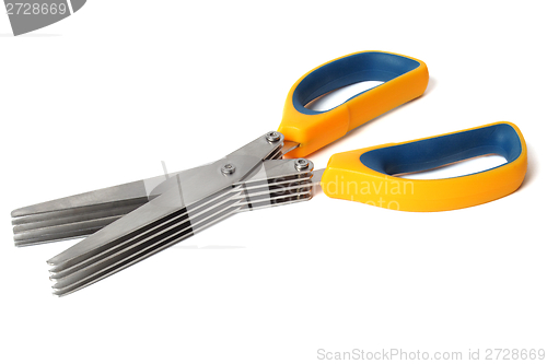 Image of Herb scissors