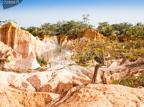 Image of Marafa Canyon - Kenya