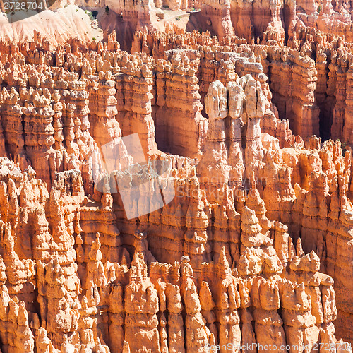 Image of Bryce Canyon