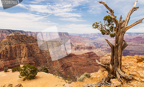 Image of Grand Canyon