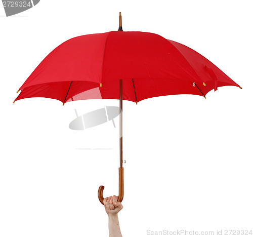 Image of Big umbrella