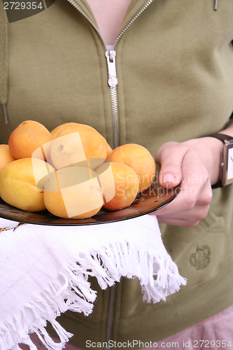Image of Organic apricots
