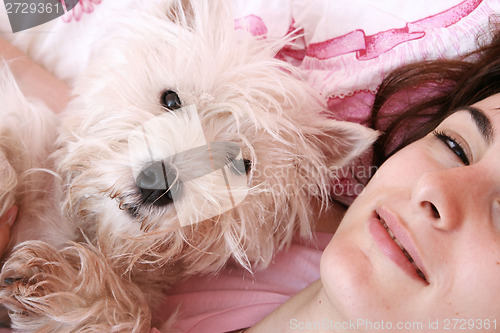 Image of Dog sleeping on bed 