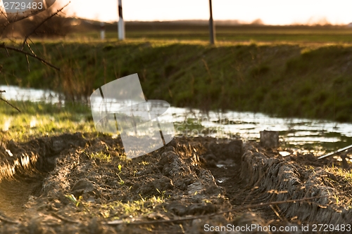 Image of Closeup photo of some mud outdoors