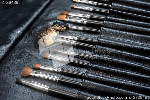 Image of Makeup Tools in a leather case