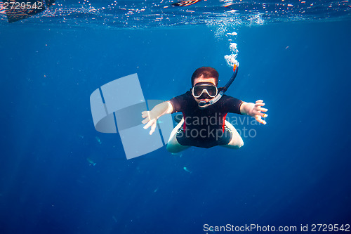 Image of Snorkeler