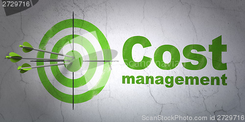 Image of Business concept: target and Cost Management on wall background