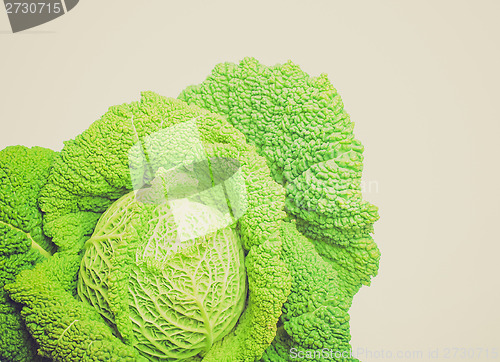 Image of Retro look Cabbage