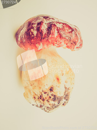 Image of Retro look Porcini Mushroom