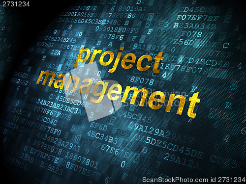 Image of Business concept: Project Management on digital background