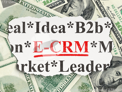 Image of Business concept: E-CRM on Money background