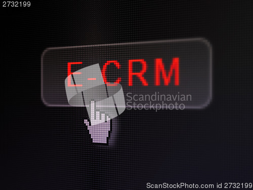 Image of Business concept: E-CRM on digital button background