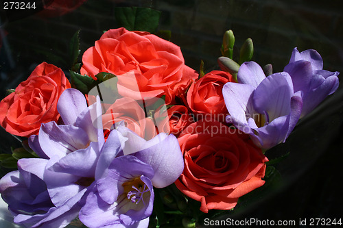 Image of roses and freesias