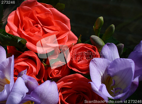 Image of roses and freesias