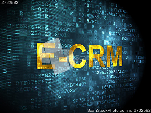 Image of Business concept: E-CRM on digital background
