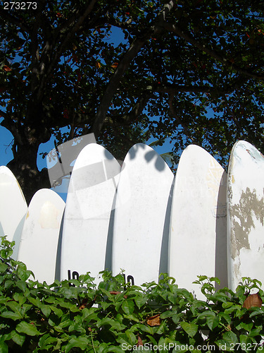 Image of surfboard windsurf boards in the tropics