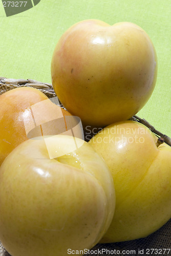 Image of yellow sungold plums