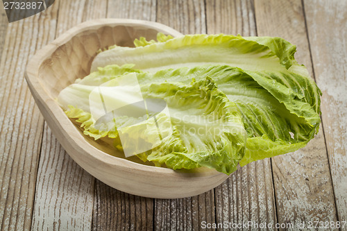 Image of romaine lettuce