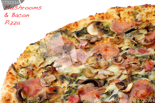 Image of Mushrooms Pizza