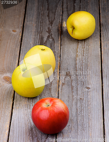 Image of Ripe Apples