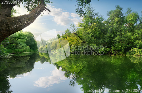 Image of Lake of the woods