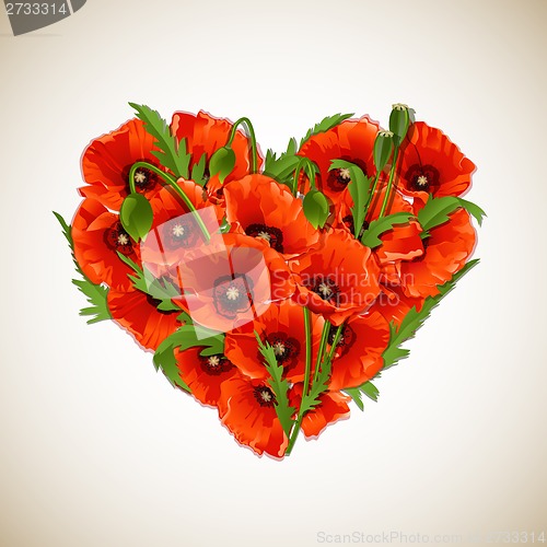 Image of Flower heart of red poppies.