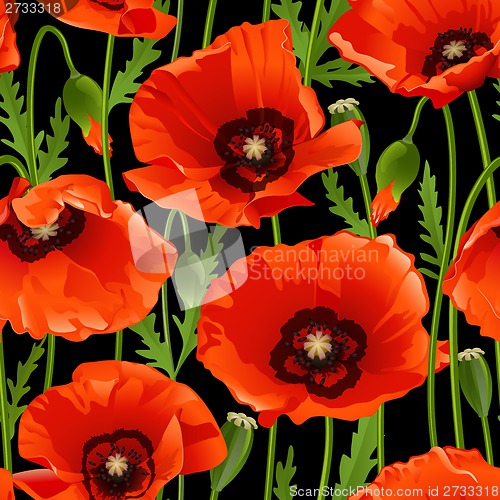 Image of Poppy seamless pattern