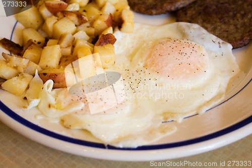 Image of Fried Egg Breakfast