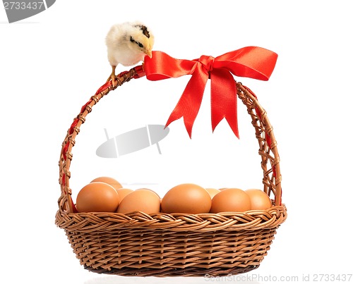 Image of Chickens with basket