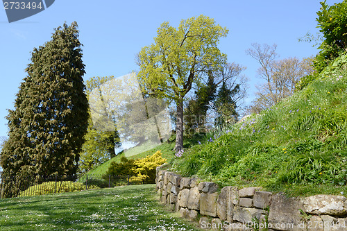 Image of Landscaped garden in springtime