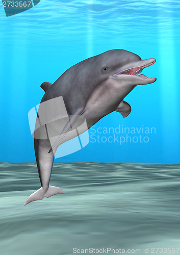 Image of Smiling Dolphin