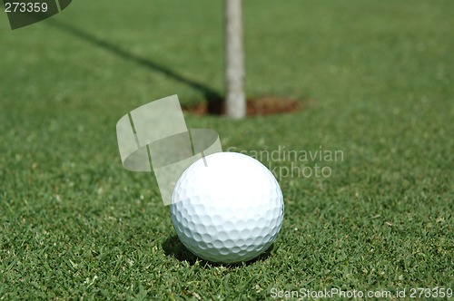 Image of Ready to putt