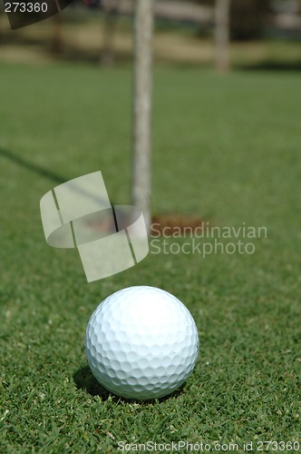 Image of Ready to putt