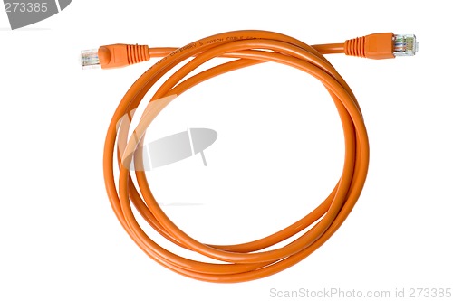 Image of Coiled network cable

