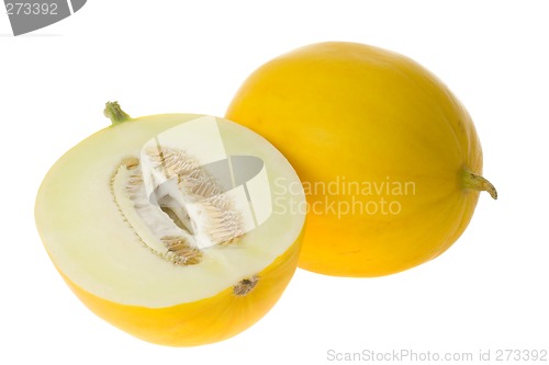 Image of Honey white melon

